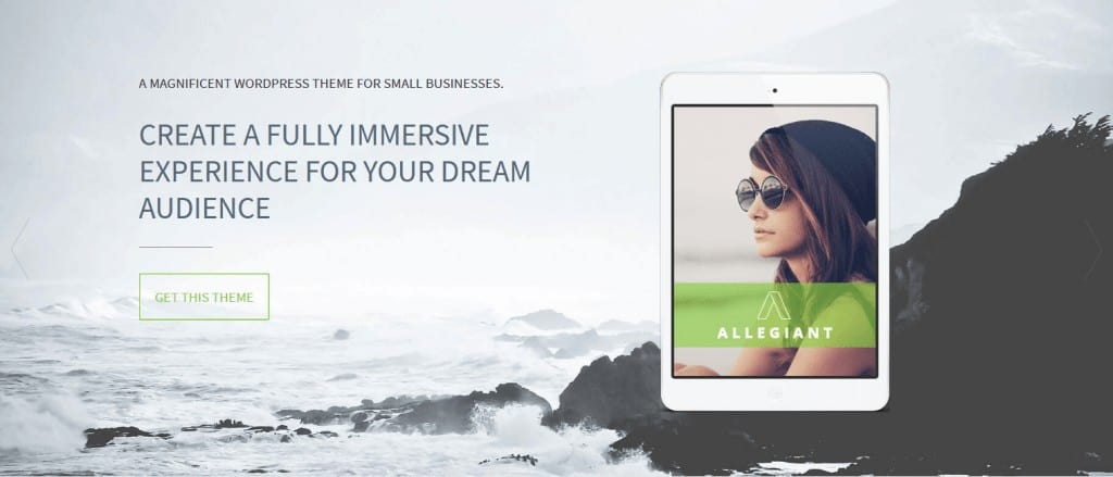 Allegiant WordPress Theme Review
