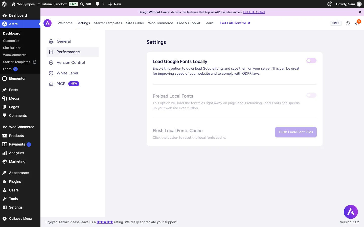 Astra Settings Performance tab with Load Google Fonts Locally and Preload Local Fonts
