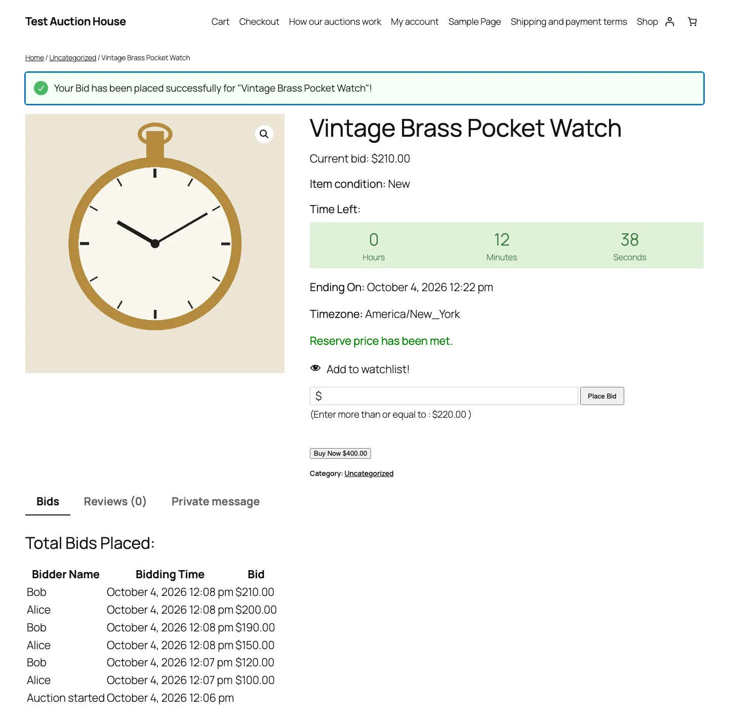 Live auction page with a countdown, current bid of $210, reserve met message and a bid history table