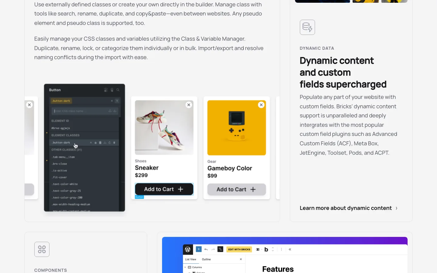 The Bricks class manager listing element classes such as button-dark next to styled product cards
