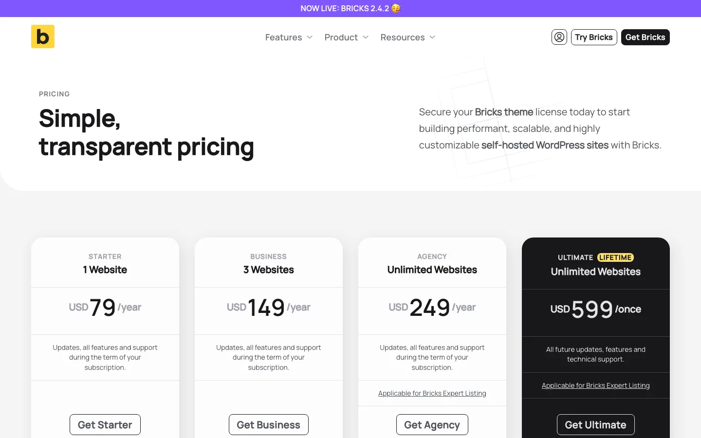 Bricks pricing: Starter $79 a year for 1 website, Business $149 for 3, Agency $249 for unlimited, and Ultimate Lifetime $599 once