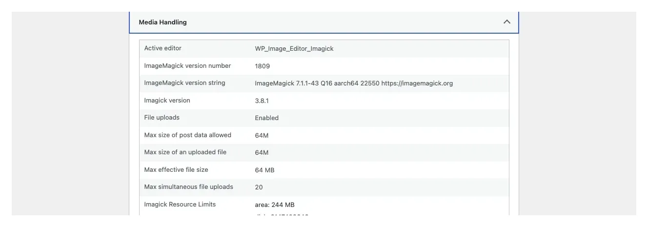 Site Health Media Handling panel showing Max size of post data allowed 64M, Max size of an uploaded file 64M and Max effective file size 64 MB
