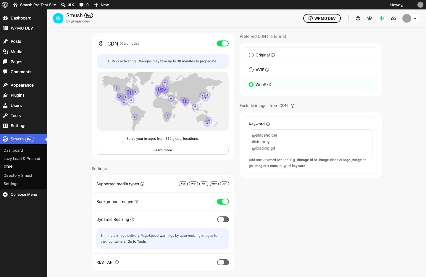 Smush CDN screen with the CDN switched on, a CDN is activating message, a map of 119 locations, and WebP selected as the preferred CDN file format