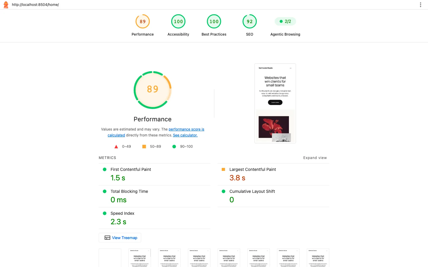 Lighthouse report for the WordPress test page showing a mobile performance score of 89, accessibility 100, best practices 100 and SEO 92